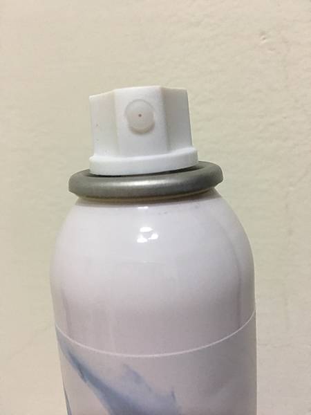 fresho2乾洗髮_DRY SHAMPOO_3.JPG 試用