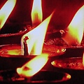 IMG_1182 IMG_1182