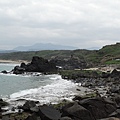 DSC01608-1.jpg