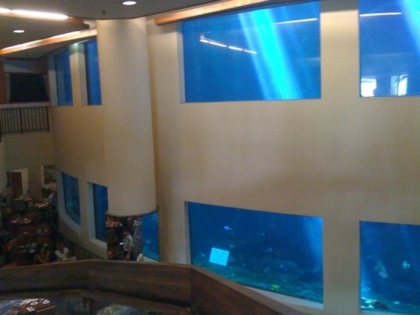 oceanarium3.jpg