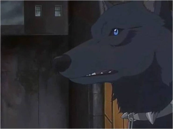 wolfrain_29.jpg