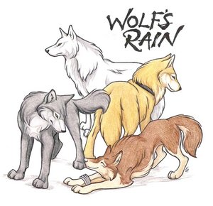 wolfrain_18.jpg