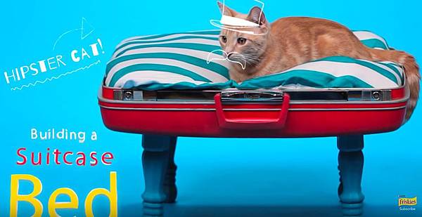 DIY Cat Toys - How to Make a Suitcase Bed - YouTube-1.jpg DIY Cat Toys - How to Make a Suitcase Bed - YouTube-1.jpg