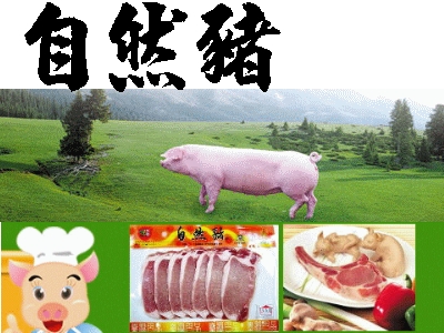 自然豬