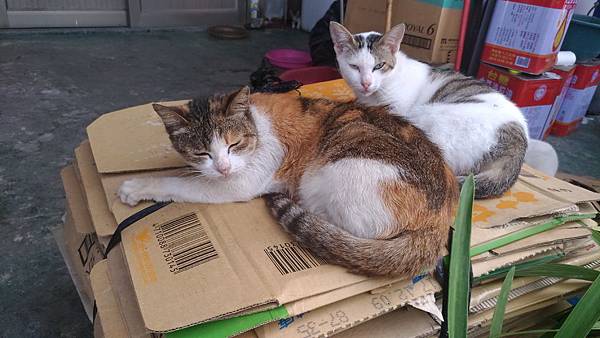 P_20170429_081626_vHDR_Auto.jpg P_20170429_081626_vHDR_Auto.jpg