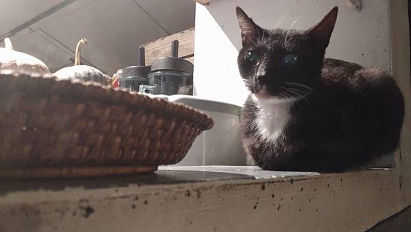 P_20170429_185732_vHDR_Auto.jpg P_20170429_185732_vHDR_Auto.jpg