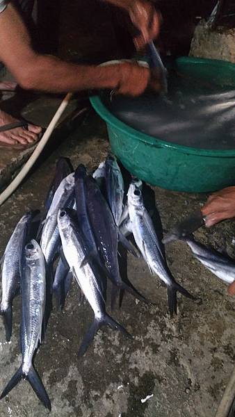 P_20170429_204641_vHDR_Auto.jpg P_20170429_204641_vHDR_Auto.jpg