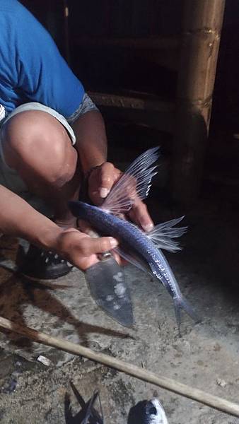 P_20170429_204854_vHDR_Auto.jpg P_20170429_204854_vHDR_Auto.jpg