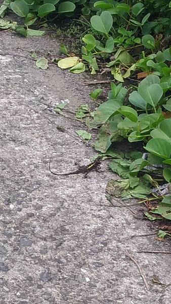 P_20170430_092142_vHDR_Auto.jpg P_20170430_092142_vHDR_Auto.jpg