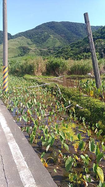 P_20170430_084502_vHDR_Auto.jpg P_20170430_084502_vHDR_Auto.jpg