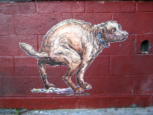dogshit dogshit