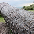 Beiguan Tidal Park