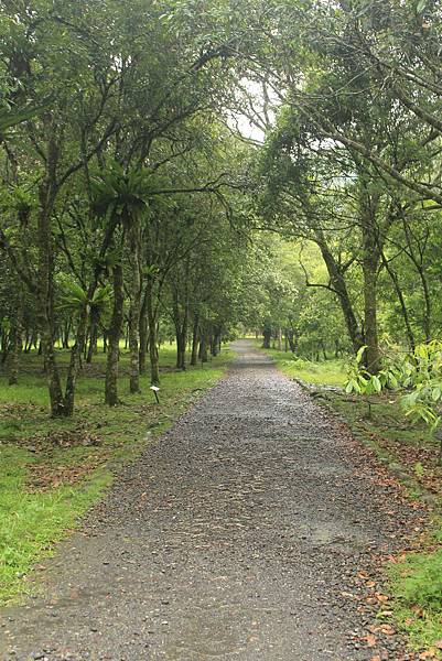 Fushan Botanical Garden