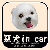 惡犬in car .jpg