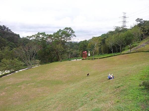 芎林飛鳳山心鮮森林11.jpg