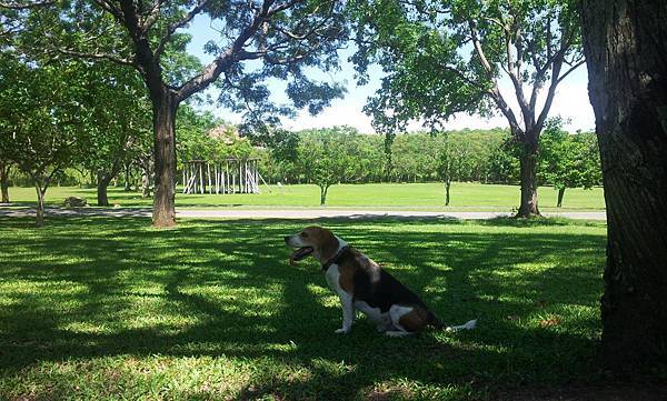 卑南文化遺址公園15.jpg