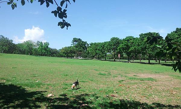 卑南文化遺址公園21.jpg