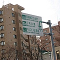 49.街道.JPG