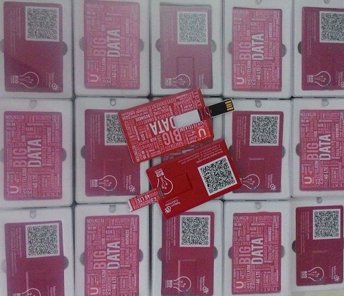 Flashdisk kartu Jogja.jpg