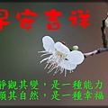 早安吉祥靜觀其變.jpg