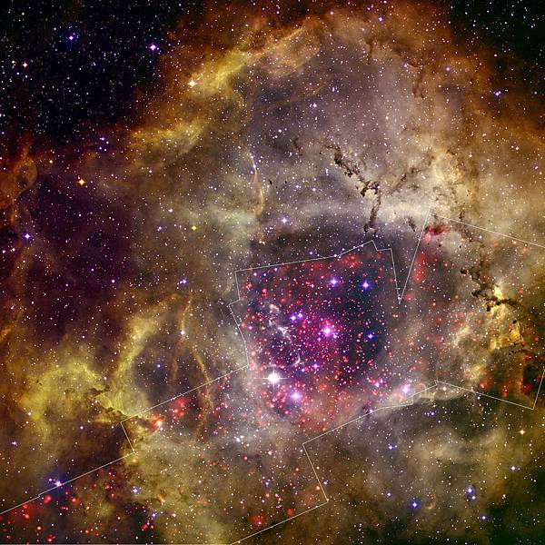 rosette nebula