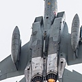 最強空自F-15J IEWS搭載.jpg