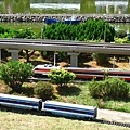 IMG_0768.JPG