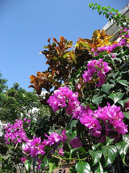 IMG_1194.JPG