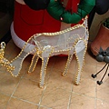 IMG_1619.JPG