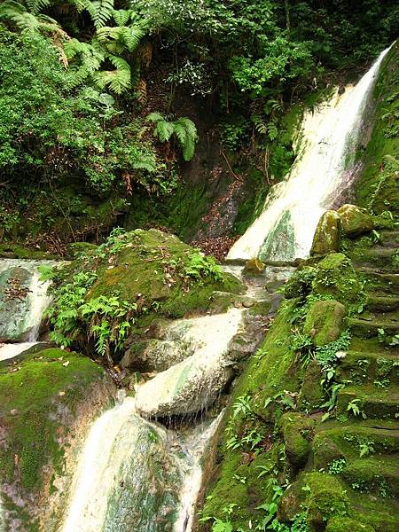 Image00011.jpg