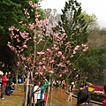 Image00013.jpg