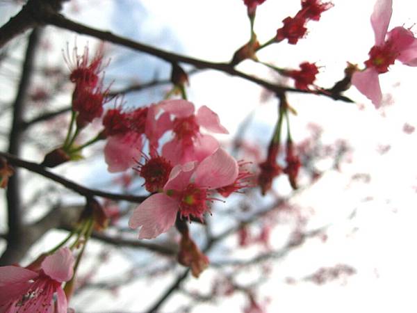 Image00017.jpg
