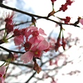 Image00017.jpg