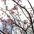 Image00019.jpg