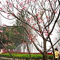 Image00021.jpg