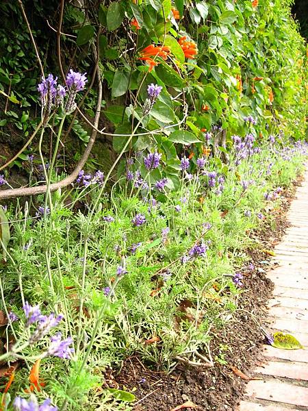 Image00028.jpg