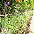 Image00028.jpg