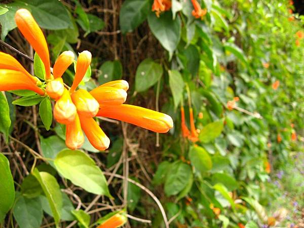 Image00030.jpg