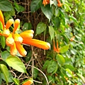 Image00030.jpg