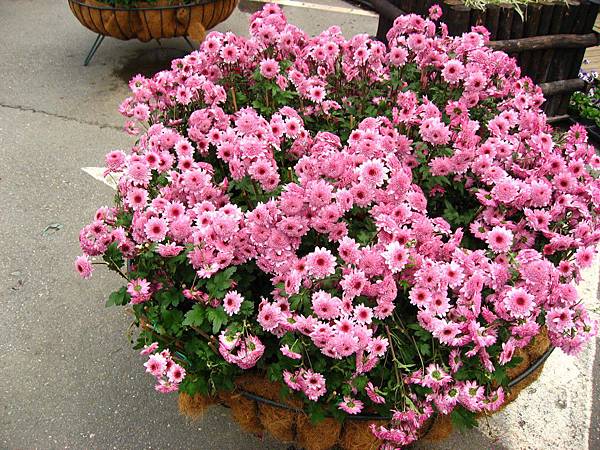 Image00032.jpg