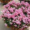 Image00032.jpg