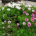 Image00033.jpg