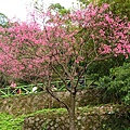 Image00035.jpg