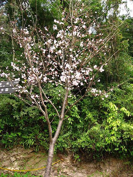 Image00039.jpg