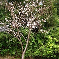 Image00039.jpg