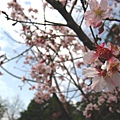 Image00043.jpg
