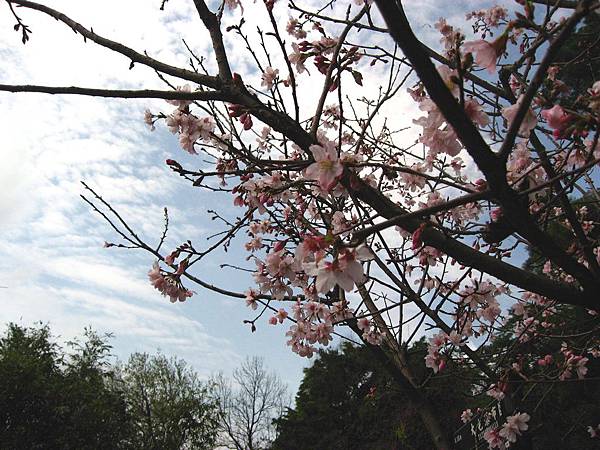 Image00044.jpg