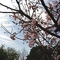 Image00044.jpg