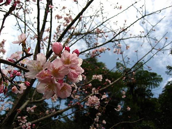 Image00047.jpg