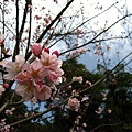 Image00047.jpg